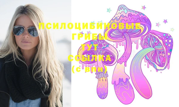 spice Армянск