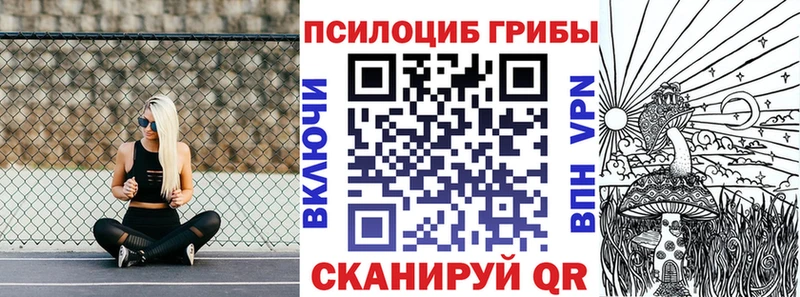 MEGA зеркало Мончегорск Псилоцибиновые грибы Psilocybe где купить наркоту